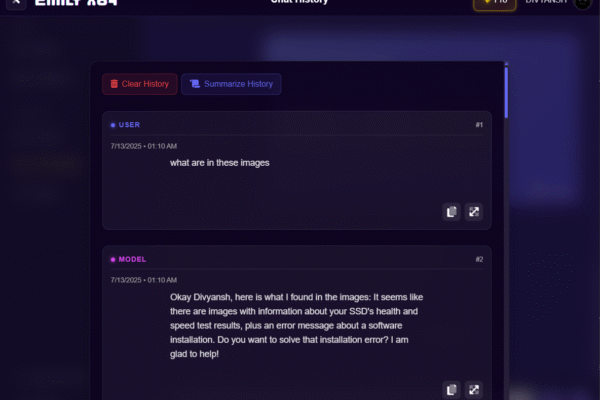 Screenshot 2025-07-13 011121 Emily X64 history and memory